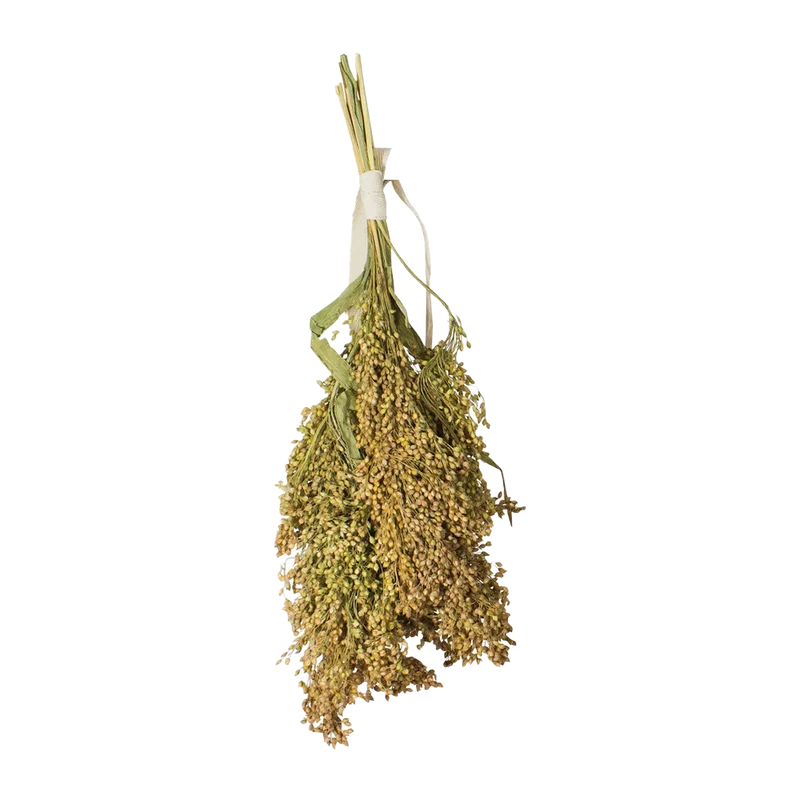 JR Farm Vipphirs - 100 G