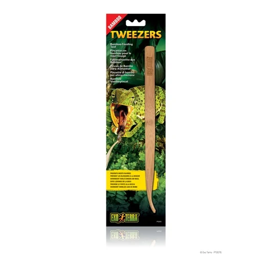 Pincettes Exo Terra en bambou pour le nourrissage