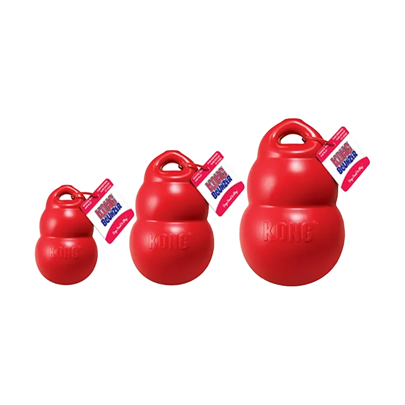 Kong Bounzer - L