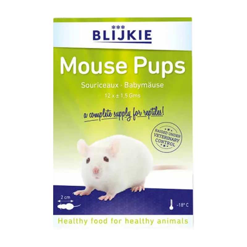 Mouse Pups - 12 Pack