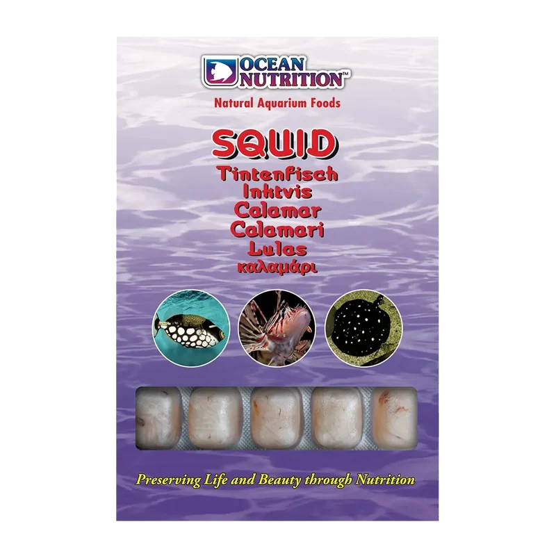 Ocean Nutrition Squid - 100 G