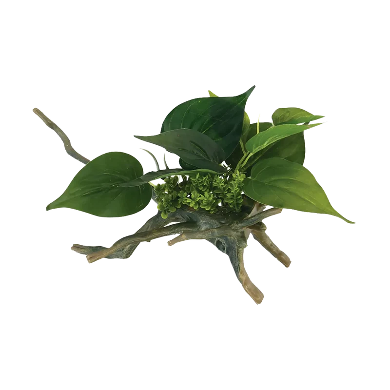Drivved Planta - 16.5X16.5X24.5 CM