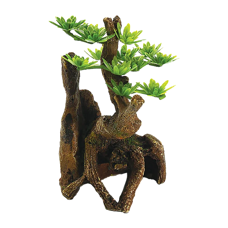 Träd Akvarium - 7X6.5X11.2 CM
