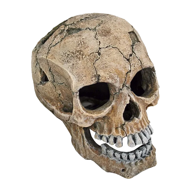 Döskalle Spräckt - 20 CM