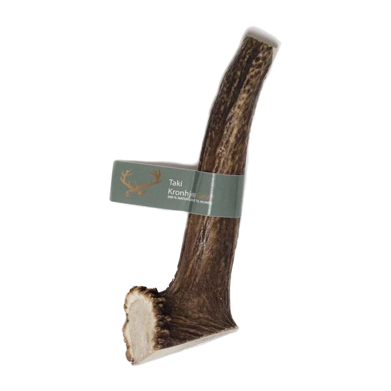 Taki Kronhjortshorn Split - XXL