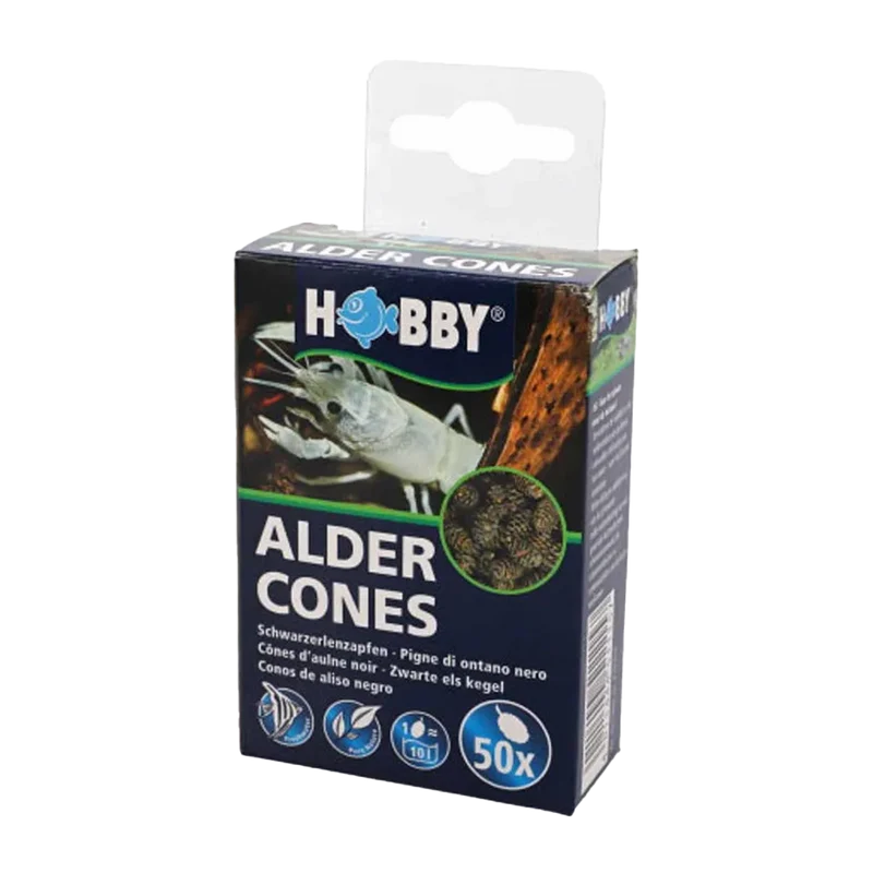 Alkottar - 50 ST
