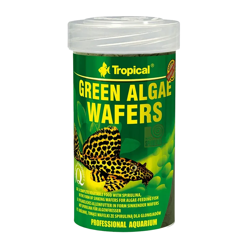 Tropical Alger Wafers