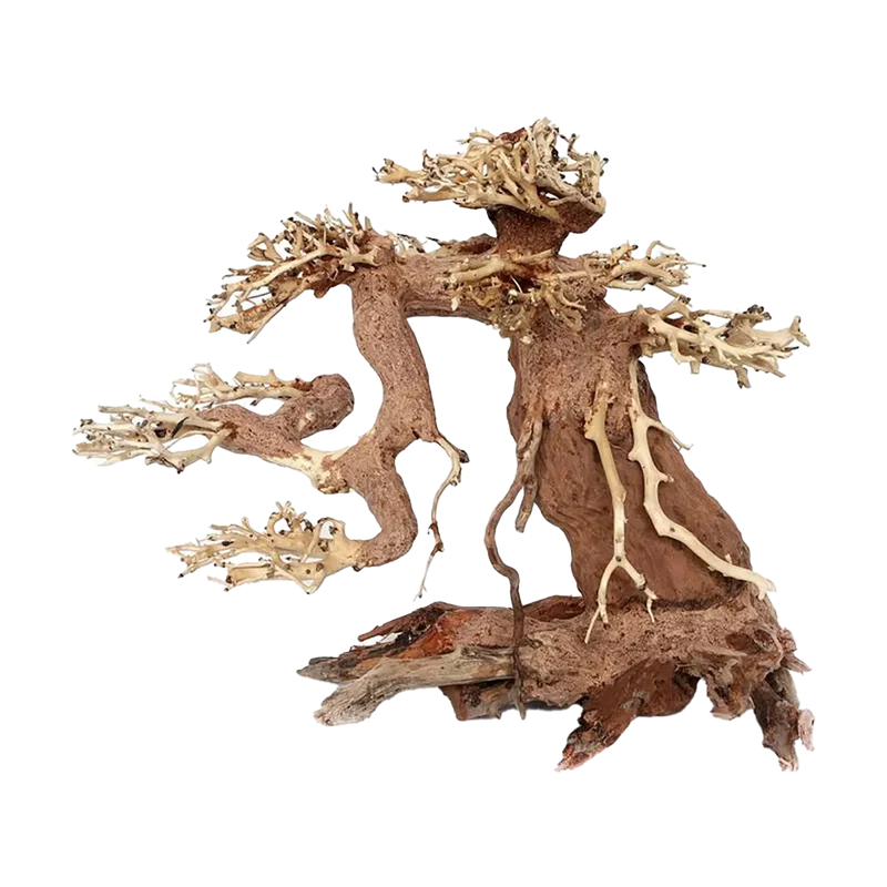 Bonsaiträd Akvarium Large - 30X23X15 CM