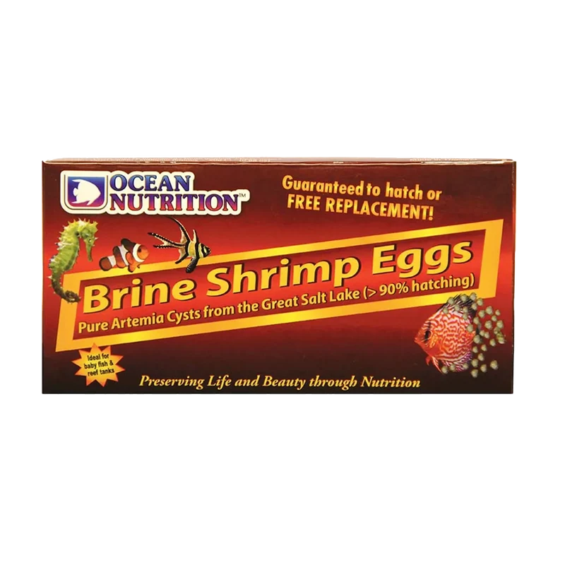 Artemia Brine Shrimp Ägg - 20 G