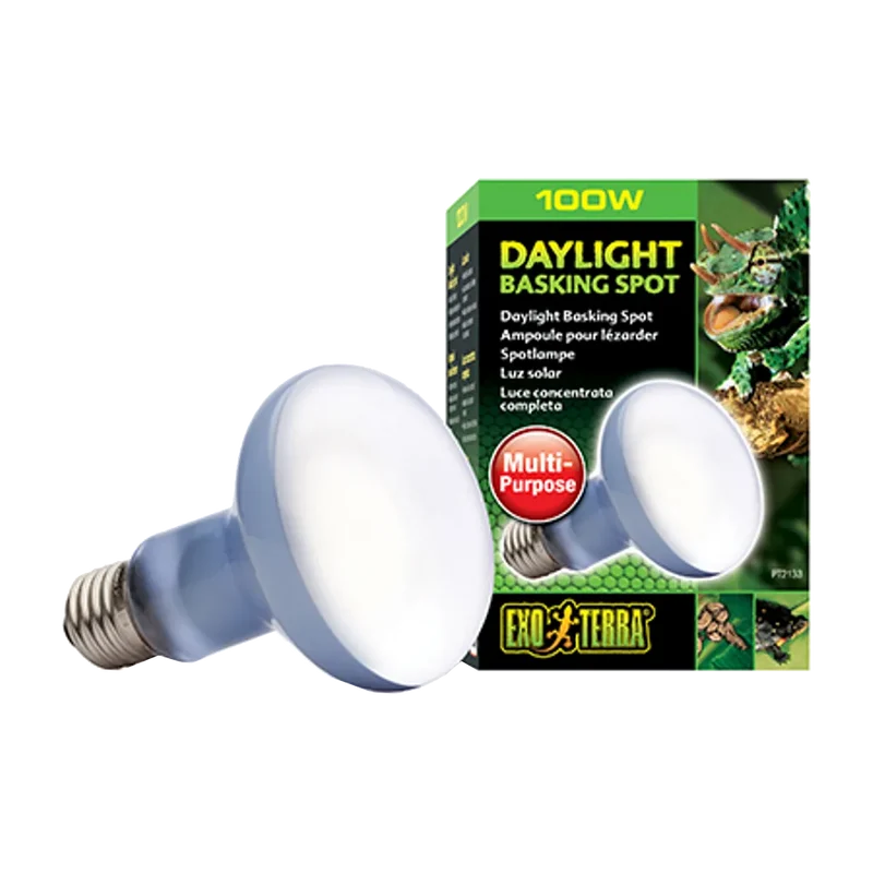 Exoterra Daylight Basking Spot 100W R25 E27 - Grön