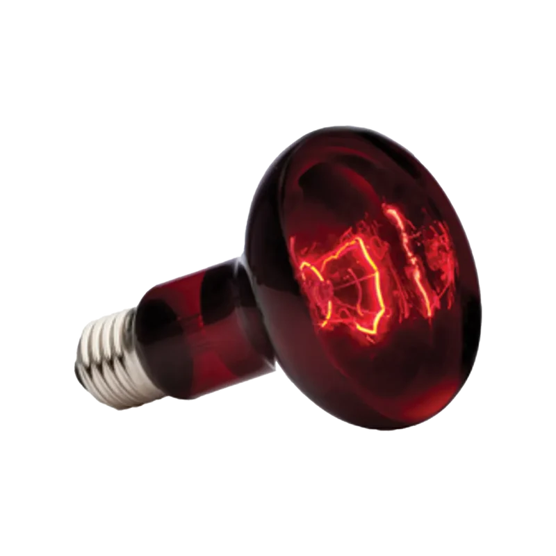 Exoterra Infrared Basking Spot R25 E27 - Röd