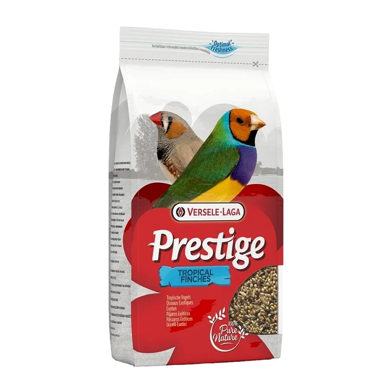Prestige Tropical Stand up