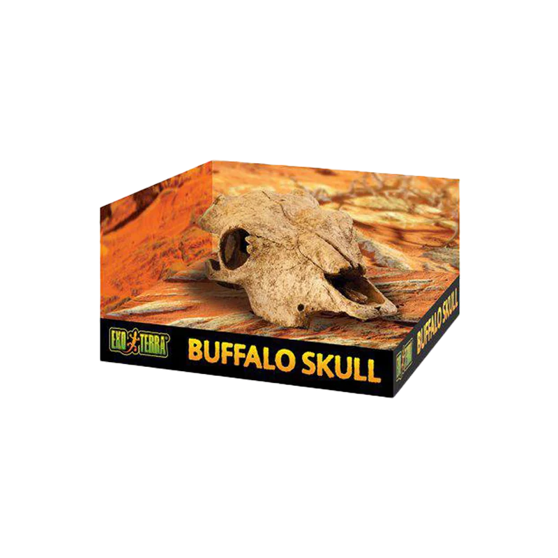 Exoterra Grotta Buffel Kranium