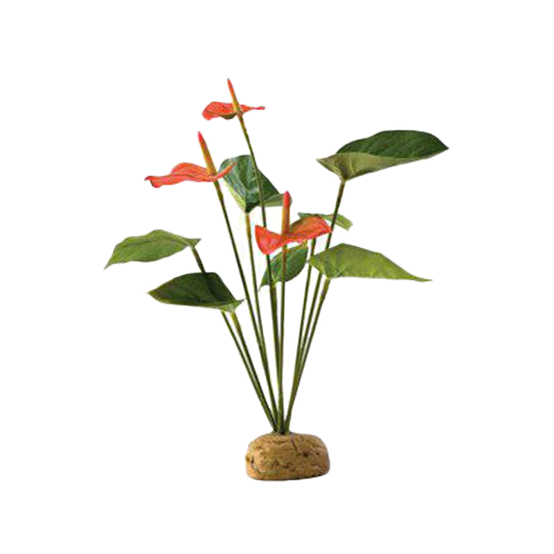 Flamingo Regnsskogsväxt - 20X15X28 CM