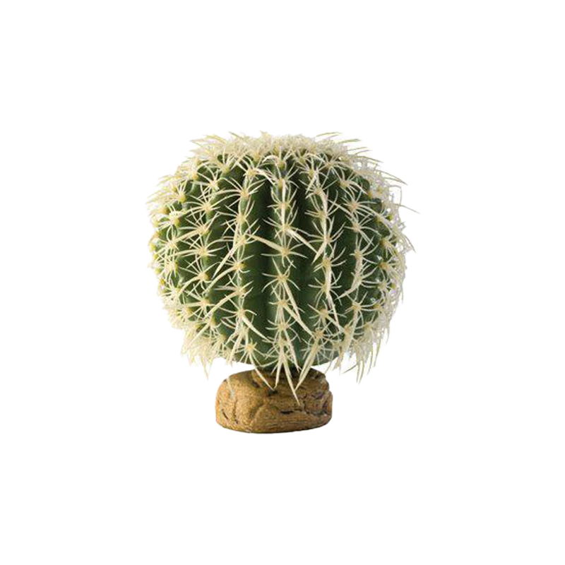 Bollkaktus Ökenväxt - 15X15X15 CM