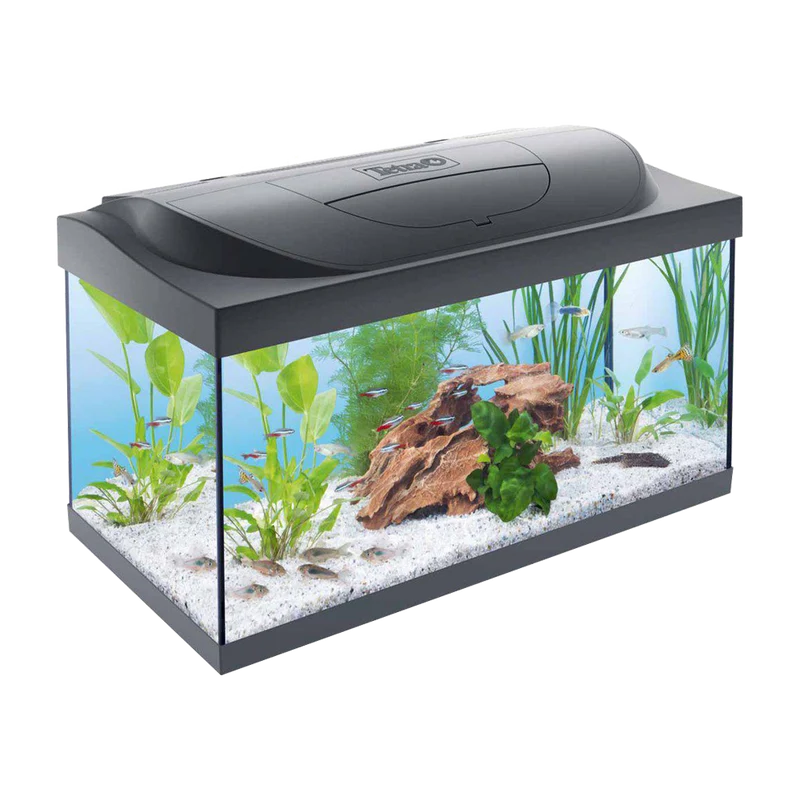 Tetra Startpaket - 54 L