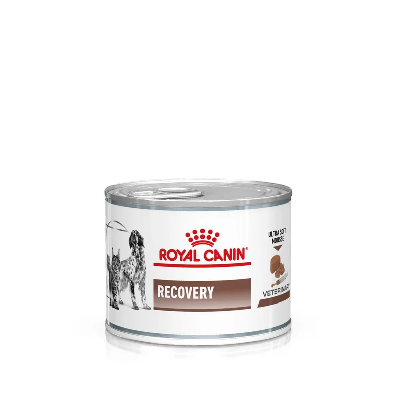 Royal Canin Veterinary Diets Gastrointestinal Recovery Ultra Soft Mousse 195 g för katter och hundar
