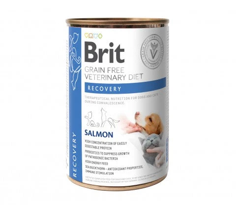 Brit Veterinary Diet Recovery Salmon för hundar & katter 400 g
