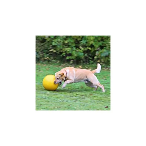 Kerbl Hundespielball Ø 30cm