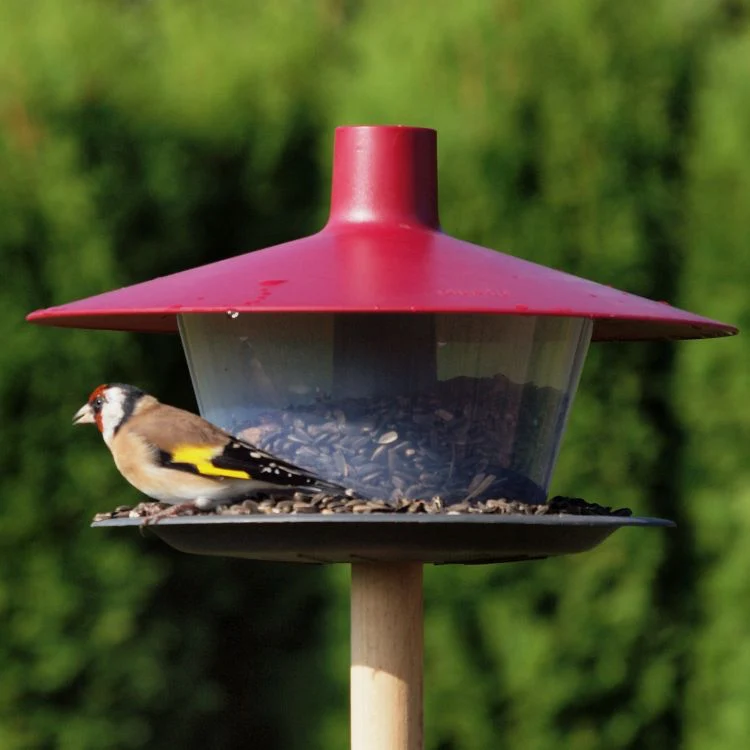 Foderautomat 'Finch' Wine red