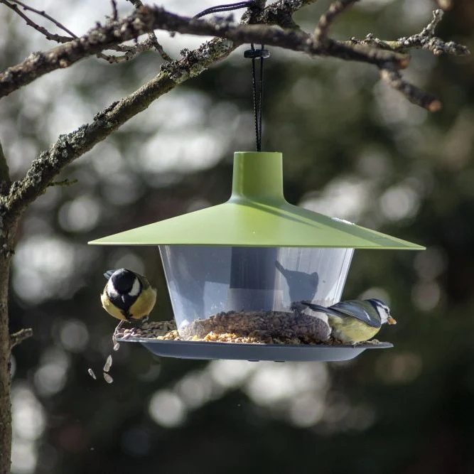 Foderautomat 'Finch' Green