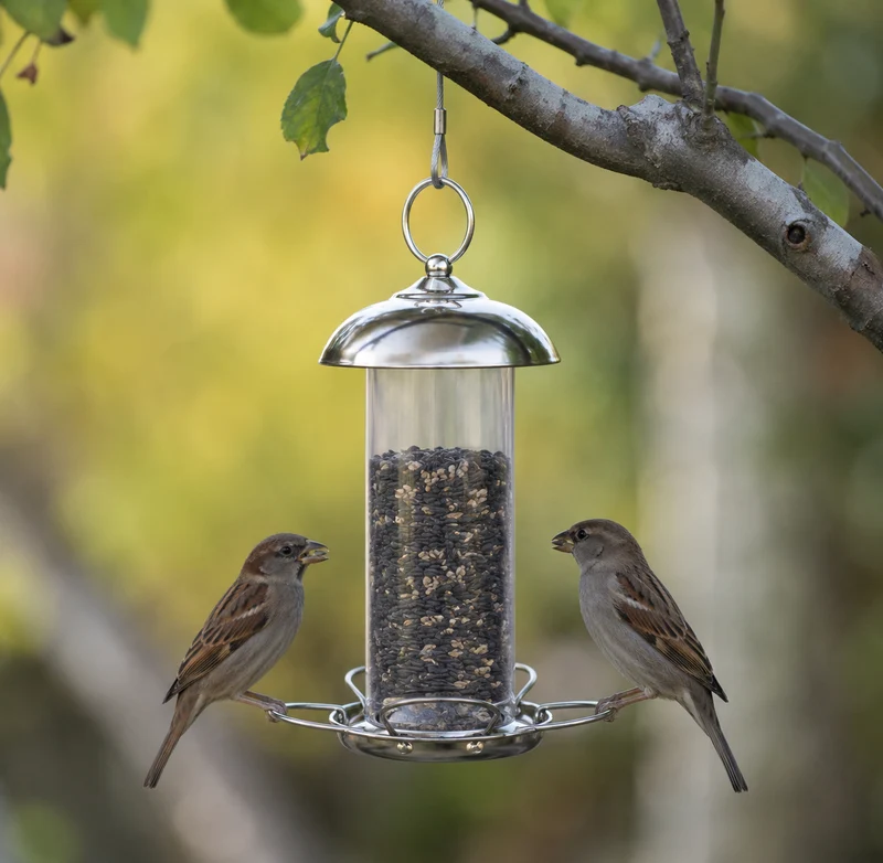 CARE-Bird Foderautomat till frö Mini 19,5cm - Silver