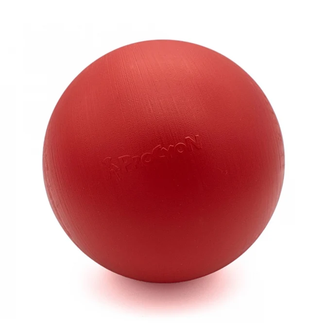 PROCYON Treibball Größe S