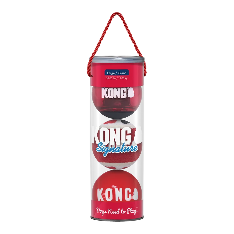 KONG Signature Balls 3-pk Assorted Jan