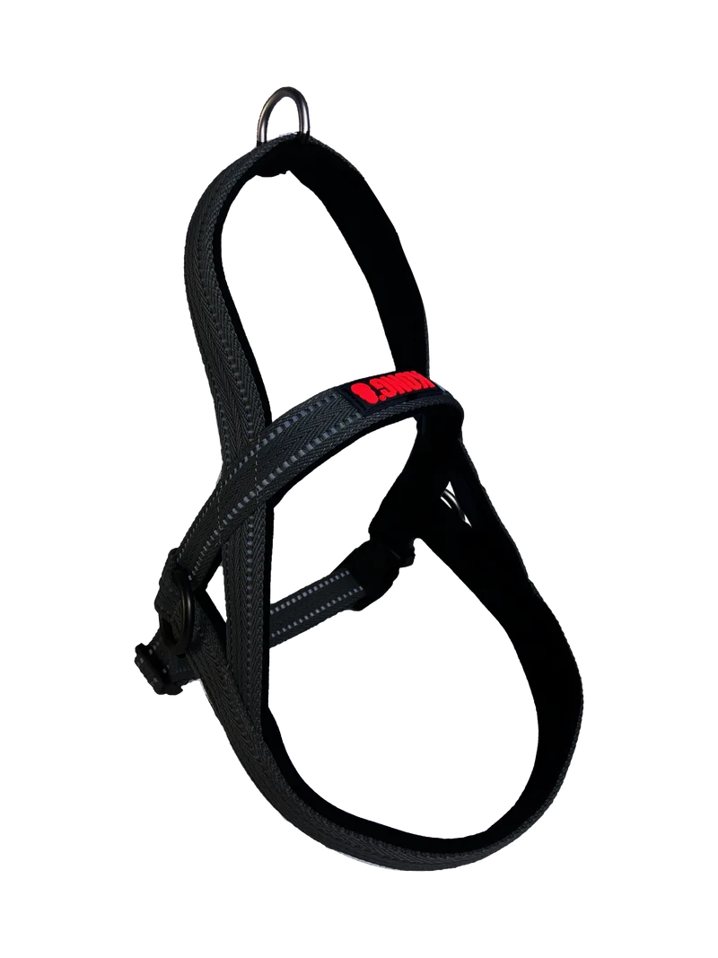 KONG Norwegian Harness