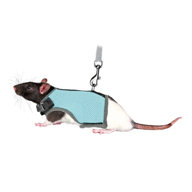 Trixie Softgeschirr für Ratten