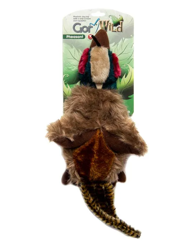 Gor Wild Pheasant