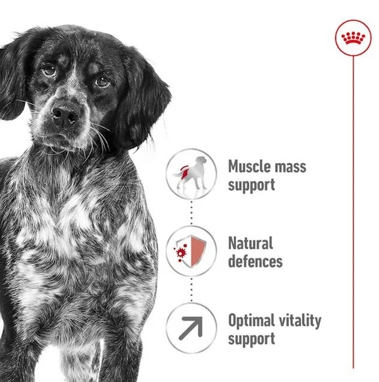 royal canin medium adult 7+ - wsparcie witalności dojrzałych psów - worek 15 kg