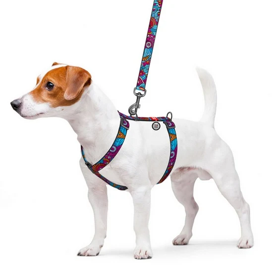 Collar WauDog Nylon Szelki nylonowe anatomiczne w kształcie litery H, z QR-paszportem, plastikowy fastex, wzór LATO, rozmiar M 20mm
