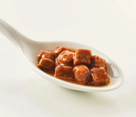 Kattovit Feline Diet Urinary łosoś saszetka 85g