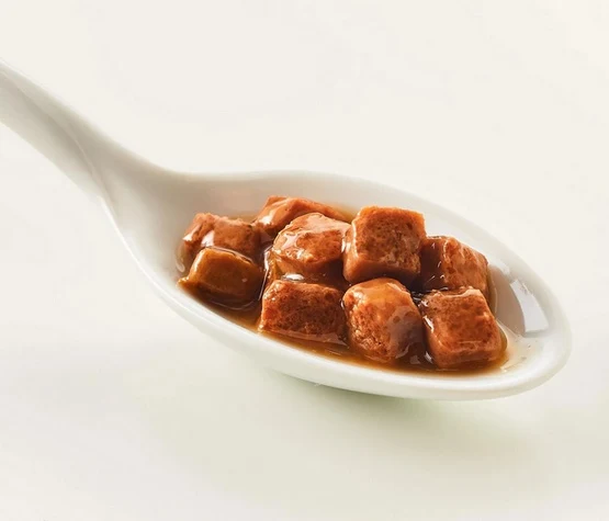 Kattovit Feline Diet Gastro kaczka i ryż saszetka 85g