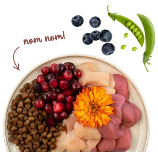 Sanabelle Indoor 400g - chrupiąca karma dla kotów niewychodzących