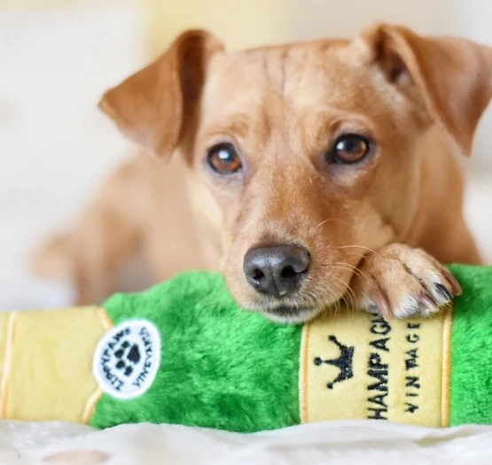 ZippyPaws pluszowa trzaskająca butelka Champagne - wymienna butelka w środku