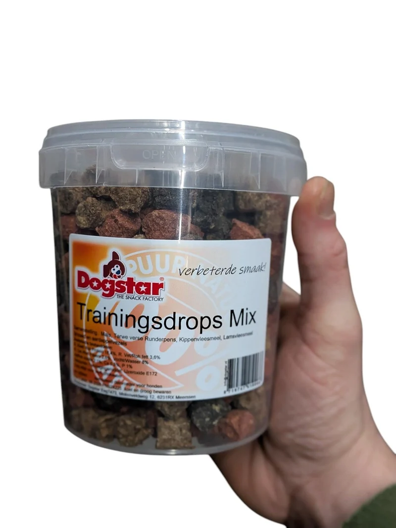 Dogstar Colour Mix-träningsskor