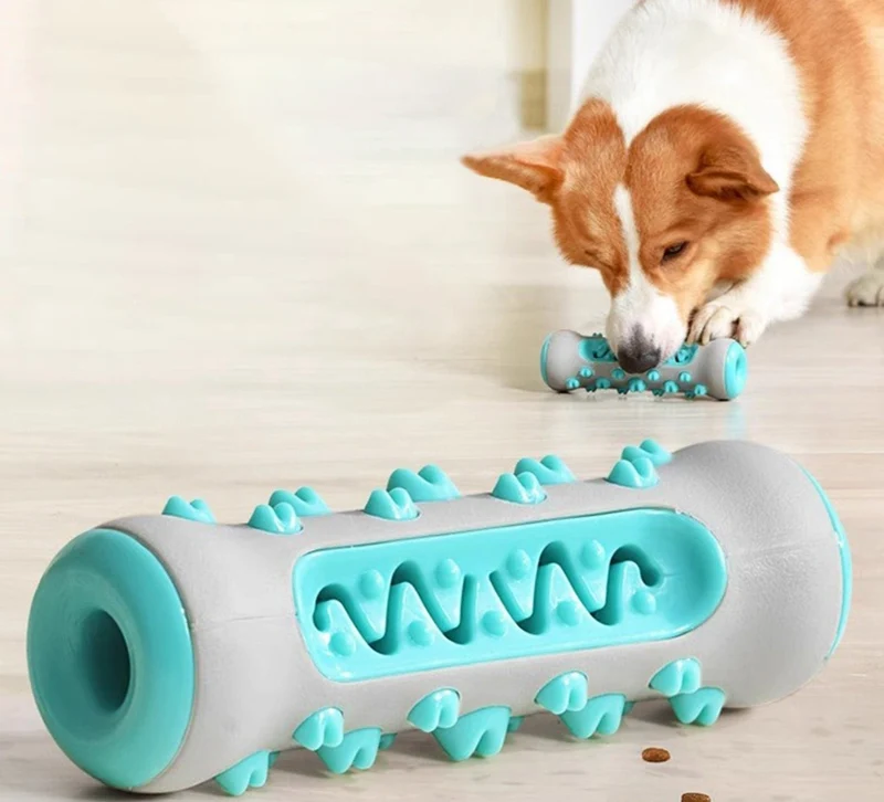 CanineDent™ Den ultimata tandvårdslösningen för hundar