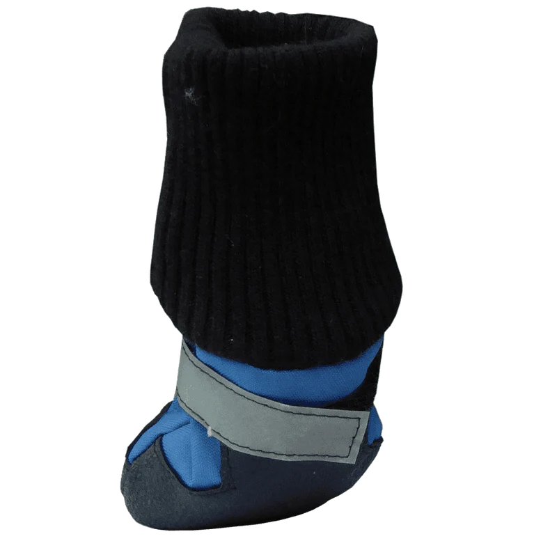 HDP Dog Boots Blue Set of 4 Medium