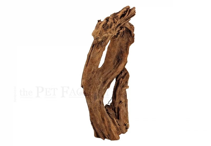 Mangroverot 20–30 cm