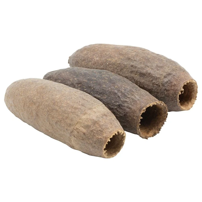 Jequitiba frökapsel - 3 pack
