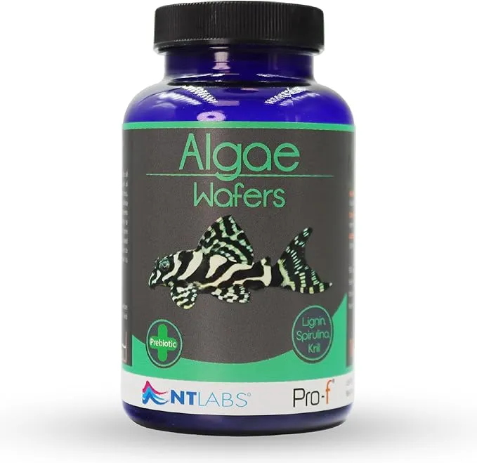 Expiry Date 31-Oct-26 NT Labs Algae Wafers Fish Food - 110G