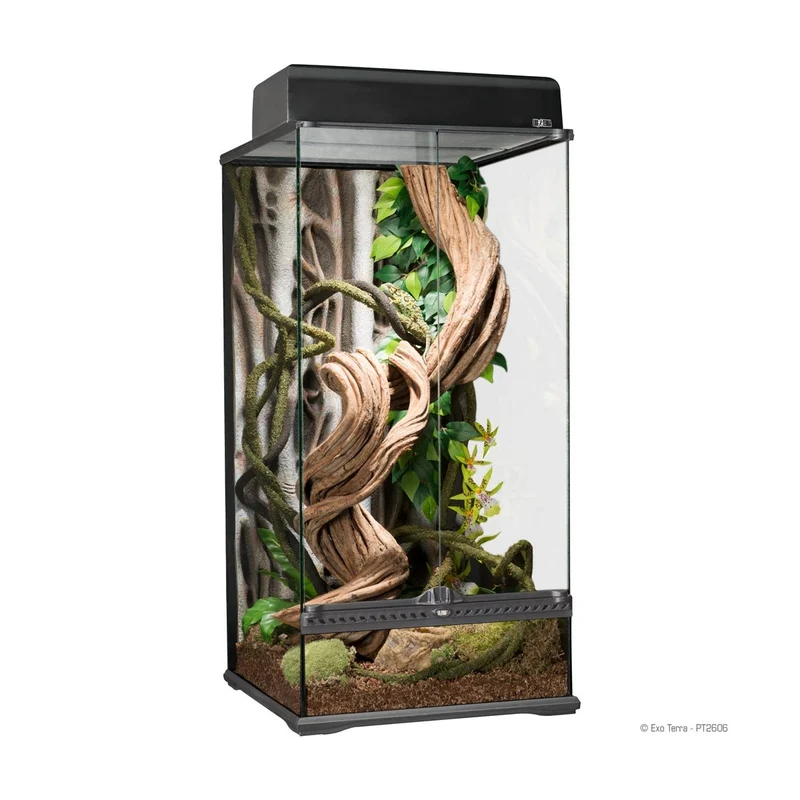 Exo Terra Small X-tall - Paludarium - 45x45x90 cm