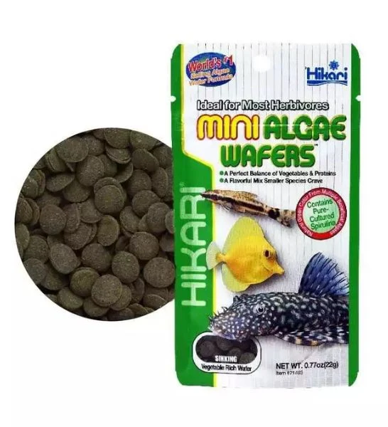 Hikari Tropical Mini Algae Wafers Fish Food 22G