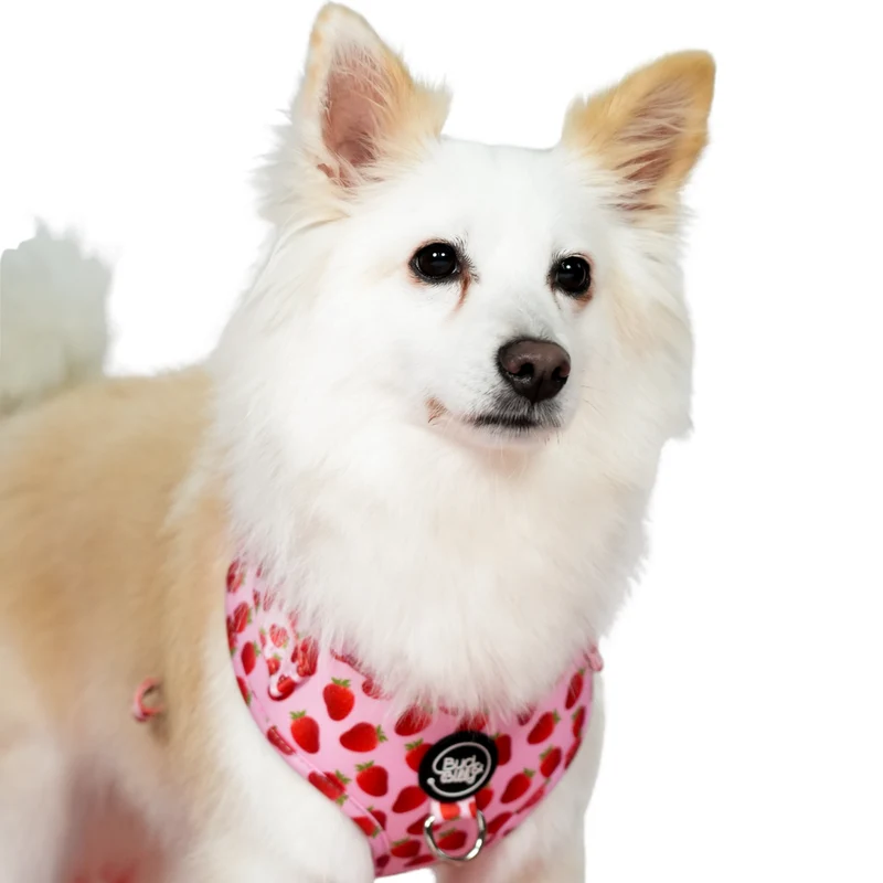 Bud & Billy Pink Berry Pop Dog Vest Harness