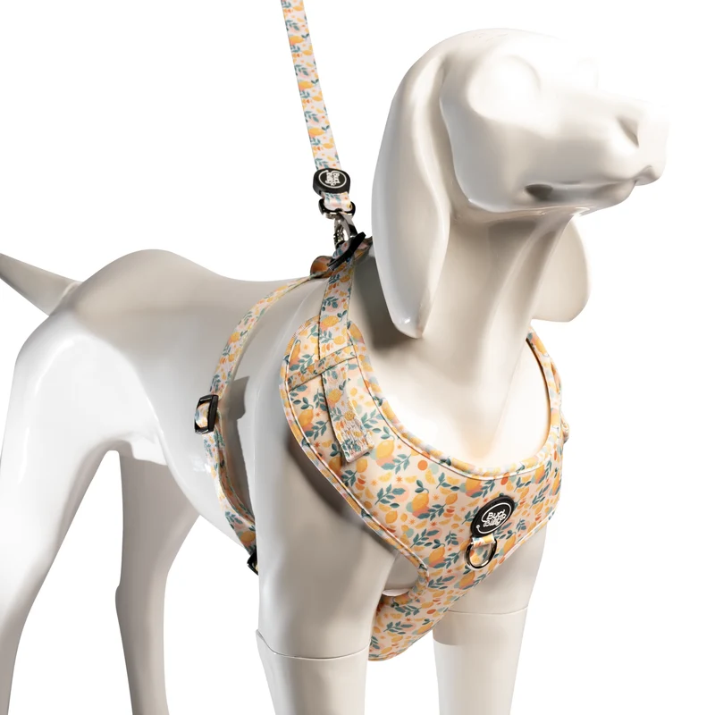 Bud & Billy Citrus Bloom Dog Vest Harness