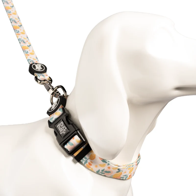 Bud & Billy Citrus Bloom Dog Collar