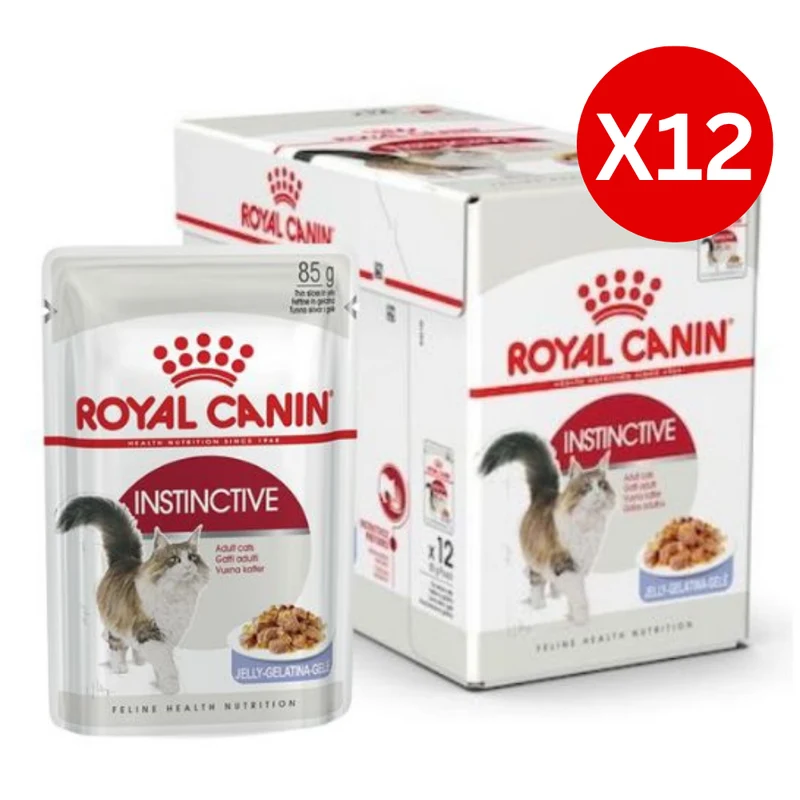 Royal Canin Instinctive Adult In Jelly Wet Cat Food 85G - Pack of 12