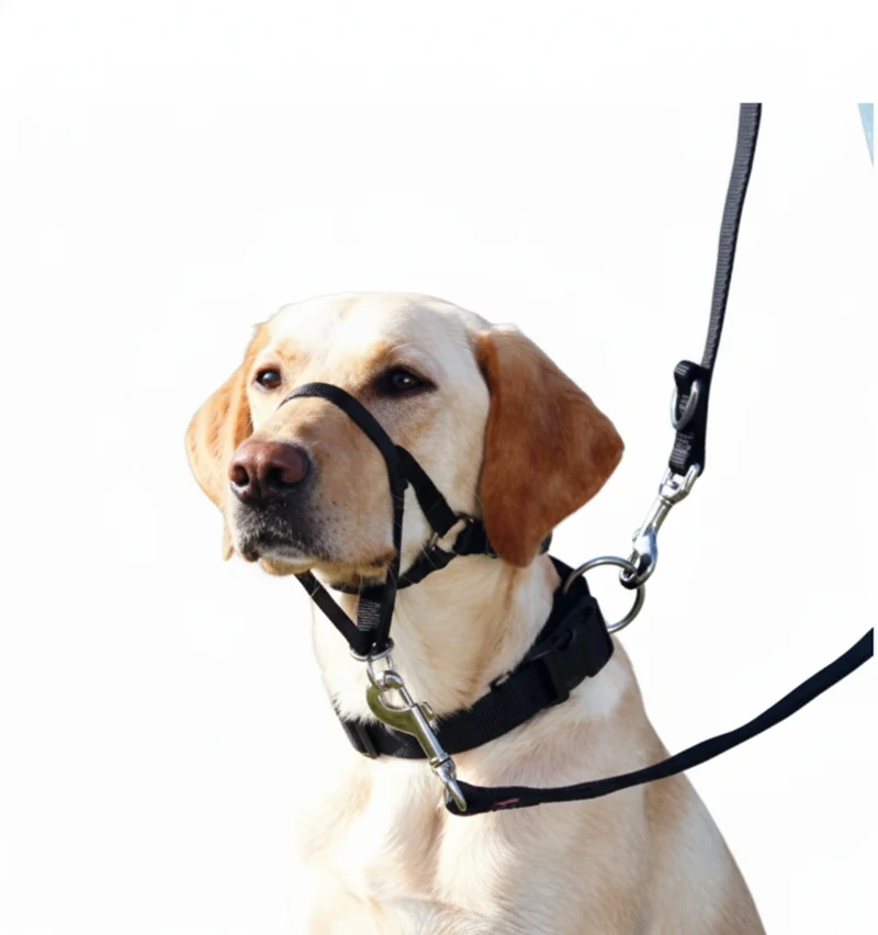 Trixie Top Trainer Headcollar for Dogs